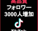 TikTokのフォロワー3000人増やします TikTokをユーザーへ拡散！+3000人増加します イメージ4