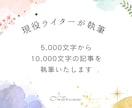 インタビュー記事を作成いたします インタビューを元に想いが伝わる読みやすい文章を作成します イメージ3