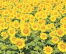 周りの人に話せない、なんでも聞きます パンクしたら進めません(*´꒳`*)パンクする前に！ イメージ5