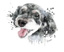 プレゼントに！フレームパネル愛犬イラストを届けます すぐ飾れる！うちのこ記念・誕生日・愛犬家へ遺影・ペットロスに イメージ4