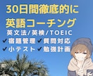 1ヶ月間徹底的に英語コーチングします 英語のプロが30日間徹底サポート！ イメージ1
