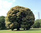 30分チャットでお話聞きます 話してみませんか？少しでも笑顔に。 イメージ1