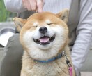 元不登校相談員！お話聞きます 辛いもやもやを吐き出せる第三者になりたいです。 イメージ2