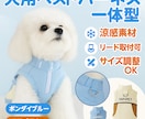 楽天・Amazon等、品質重視の商品画像制作します ✨ 「売上を動かす、設計された美しさ。」 ✨ イメージ6