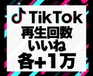 TikTokの再生回数＆いいねを各+1万増加します 安心★安全｜30日保証付｜増加支援｜拡散｜振分可｜匿名評価可 イメージ1