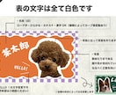 唯一無二のペット名刺制作します おしゃれPOPでかわいい名刺！100枚印刷送料込み イメージ6