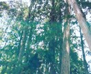 みなさまをよい方向へ向かいよう鑑定致します 龍神様が写るようになり、霊感がするどくなりました。 イメージ1