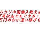 メルカリ中国輸入のやり方を一から教えます 給料以外の収入が欲しいけどバイトはしたくない方にオススメです イメージ1