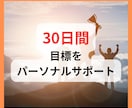 リピーター様用！目標達成サポートします 一人で頑張るのがツラいあなた、励まします！ イメージ1