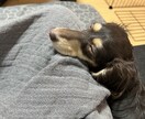 あなたのお話なんでも聞きます 現役看護師があなたのお話をなんでも聞きます イメージ2