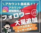 インスタ 日本人フォロワー100人増やします ⭐️最高品質⭐️インスタの日本人フォロワー100名増やします イメージ1