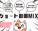 格安！高品質！ショ－ト動画歌ってみたMIX承ります YouTubeshortやTikTok等の歌ってみた イメージ1
