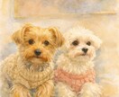 愛犬、ワンちゃん用に！ペットイラストをお描きします 芸大卒イラストレーターがご希望通りにお描きします イメージ1