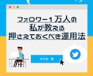 Twitterコンサルします 伸びるTwitter戦略心理学ベースで教えます。 イメージ1