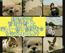 生活習慣病・ダイエットの食事相談します 管理栄養士がサポート食事改善アドバイス【10月限定モニター】 イメージ1
