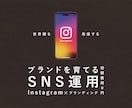 世界観を大切にInstagram運用代行します オリジナルの分析シートを元に世界観・設計重視で運用します イメージ1