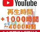 Youtube総再生時間を+1000時間伸ばします YoTube収益化！再生時間増やします！30日間減少保証！ イメージ1