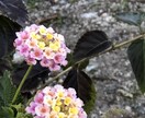 恋愛、結婚、仕事運 全体をみます お一人お一人丁寧に鑑定いたします。 イメージ2