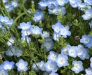 あなたの自己肯定感を高めます いつも頑張っているあなたに寄り添います イメージ2