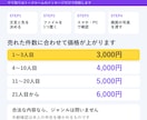 年齢確認ポップアップをWordPressに付けます 表示速度を落とさず、検索にも配慮して設置 イメージ4