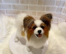5名限定　愛犬のうちの子オーダーお作りします もう一度会いたい愛犬を羊毛フェルトでお迎えしませんか？ イメージ7
