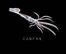 生き物特化のイラスト制作します ライブ外納品をご希望の方はこちら！ イメージ5