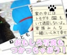 大好きなペットちゃんの説明書（動画）製作します ♪　ペットが好き好き♪　飼い主様のインタビューをもとに作成！ イメージ4