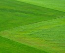 あなたの心に寄り添い、自己肯定感を高めます 自己肯定感を育て、自分に優しくなれる時間を イメージ10