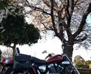 匿名ＯＫ！　人生相談、恋愛相談、就活相談承ります 結論を出すのはあなた自身です！　そのお手伝いをさせて下さい！ イメージ1