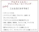 アルクトゥルスヒーリングでアクティベートします 【特典つき】アルクトゥルスととに、最高のヒーリングを。 イメージ3