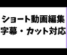 ショート動画の字幕・カット編集します テロップ・無音カット・簡単な演出対応可能です。 イメージ1