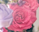 大好きなあの人の気持ち占います 恋愛のみ♡複雑・障害のある恋・片想い・悩める女性の皆様へ♡ イメージ2