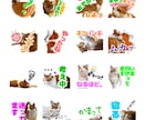 LINEスタンプ作ります ペットやお子様、大事な思い出をスタンプにしちゃいましょう！ イメージ7