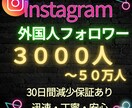Instagramフォロワーを3000人増加します インスタ日本人フォロワーも対応可能！振り分けOK30日保証付 イメージ1