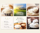 魅力を引き出す商品画像を制作します 出品記念！先着3名様に1枚無料プレゼント！ イメージ2