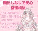 経理VTuberが相談お受けします 企業での経理実務経験をもとに相談対応 イメージ1