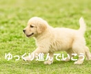 どんなことでも大丈夫。お話・気持ちお聞きします 心の荷物、そっとおろして少し心を軽くしませんか？ イメージ7