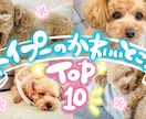 手描きYouTubeサムネイル製作いたします 他とは違う！POPで可愛いサムネ・ふわっと優しいネオンサムネ イメージ4