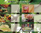 お洒落でキャッチーなチラシを作ります 思わず手に取りたくなるようなお洒落で素敵なデザインに！ イメージ5