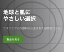 コストを抑えた高品質なLP制作を承ります レスポンシブ対応！SEO対応！ イメージ2