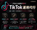 TikTok運用丸投げ！企画〜分析まで対応します LP・LINE・広告まで連携し、売上につながる導線を構築 イメージ1