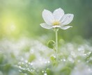 転職のタイミング☆視てみます 人生の大きな転機☆最良のタイミングで転職しましょう♡ イメージ4