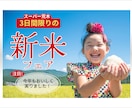 即日納品・修正無制限バナー・ヘッダー作成いたします バナー｜ヘッダー｜Youtubeサムネイル｜SNSサムネイル イメージ5