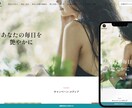Shopify構築・サポートなど致します テーマ設定からカスタマイズまで承ります！ イメージ5