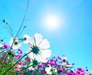 人には言いにくいあなたの自慢話とことん聞きます 自慢したいけど最適な知り合いがいない…そんな時ありますよね イメージ9
