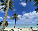 SNSがバズる画像を提供します お洒落な風景写真でバズを作ろう！ イメージ1