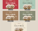 多頭ペット写真名刺｜犬猫うちの子で名刺制作します スマホ撮影OK! 色と書体が選べるセミオーダー100枚送料込 イメージ4