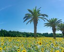 詐欺被害◆100%責めません。ただお聞きします 何度も詐欺に遭ってきた僕が、あなたの心のモヤモヤ受け止めます イメージ4