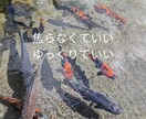 2枚セット写真と言葉をのせるだけ｜で使えます 文字を入れ替えるだけ。迷わず使えるCanvaテンプレです。 イメージ2