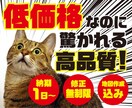 プロが低価格でチラシを制作します 完全オリジナルで高品質なチラシを低価格でお届け！ イメージ1